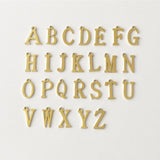 Initial Charm Necklace Silver or Gold