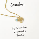 Grandma - Family Tree & Birthstone Necklace